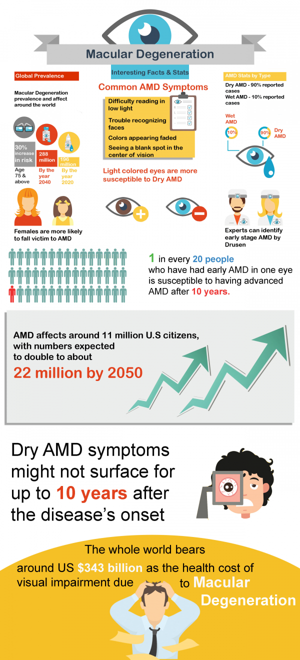 age related macular degeneration factsheet interesting amd facts infographics