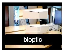 bioptic image